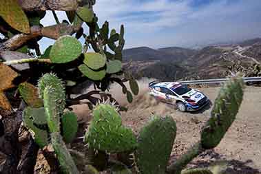 Greensmith Gus/Edmondson Elliott - Ford Fiesta WRC - WRC Guanajuato Mexico 2020